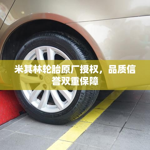 米其林轮胎原厂授权，品质信誉双重保障