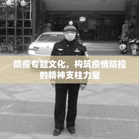 防疫专题文化，构筑疫情防控的精神支柱力量