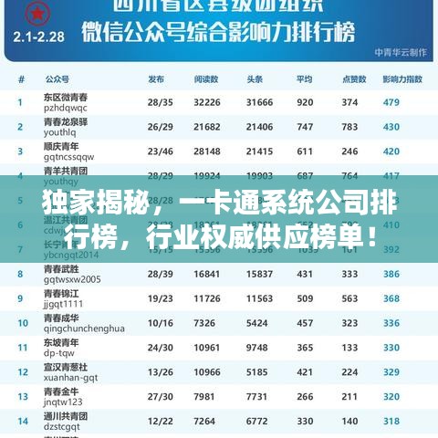 独家揭秘，一卡通系统公司排行榜，行业权威供应榜单！