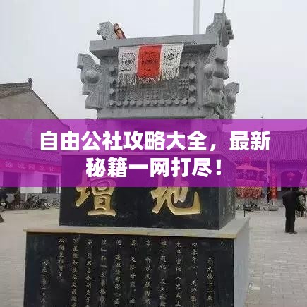 自由公社攻略大全，最新秘籍一网打尽！