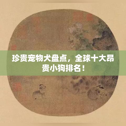 珍贵宠物犬盘点，全球十大昂贵小狗排名！