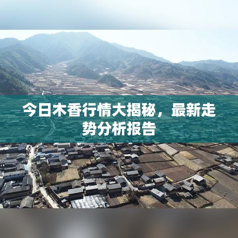 腾龙换鸟 第3页