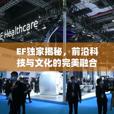 贵而贱目 第3页