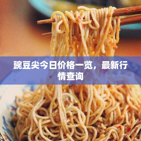 豌豆尖今日价格一览，最新行情查询