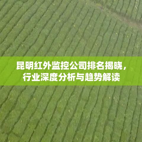 昆明红外监控公司排名揭晓，行业深度分析与趋势解读