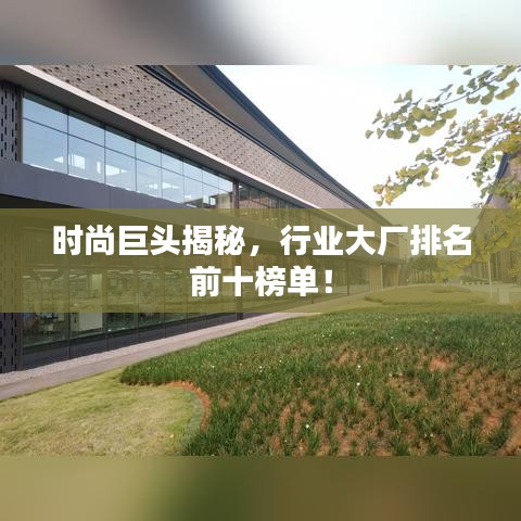 时尚巨头揭秘，行业大厂排名前十榜单！