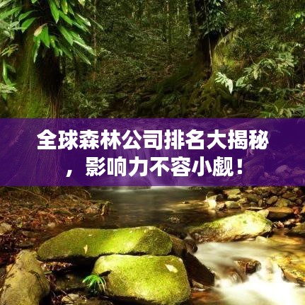 全球森林公司排名大揭秘，影响力不容小觑！