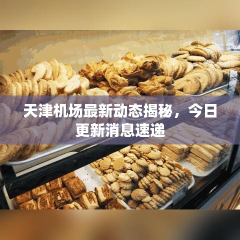 天津机场最新动态揭秘，今日更新消息速递