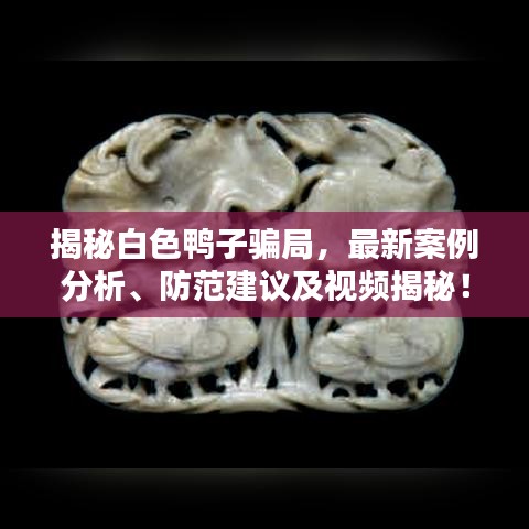 揭秘白色鸭子骗局，最新案例分析、防范建议及视频揭秘！