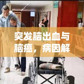 突发脑出血与脑癌，病因解析及防治策略探究