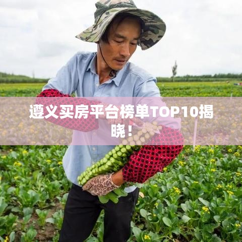 遵义买房平台榜单TOP10揭晓！