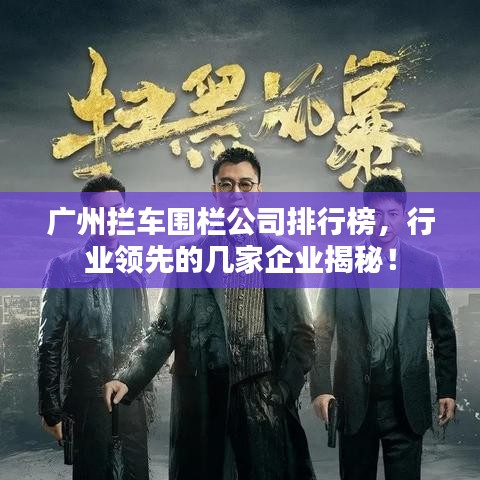衣无二彩 第3页