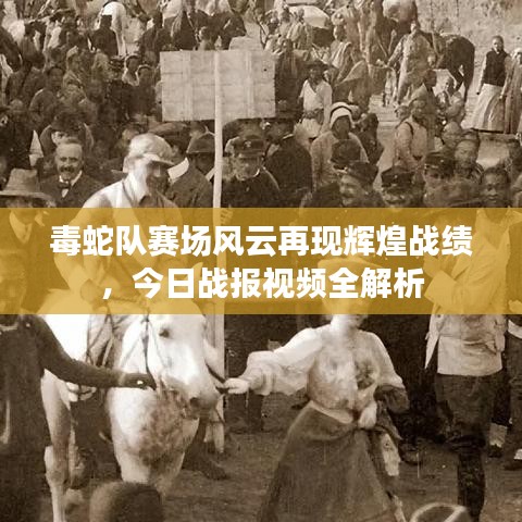 毒蛇队赛场风云再现辉煌战绩，今日战报视频全解析