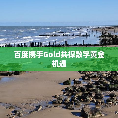 百度携手Gold共探数字黄金机遇