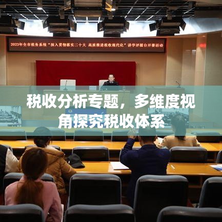 税收分析专题，多维度视角探究税收体系