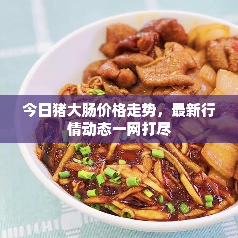 今日猪大肠价格走势，最新行情动态一网打尽