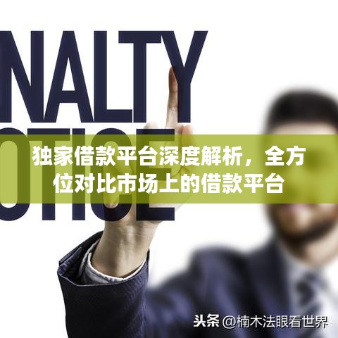 独家借款平台深度解析，全方位对比市场上的借款平台