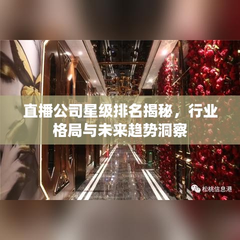 直播公司星级排名揭秘，行业格局与未来趋势洞察
