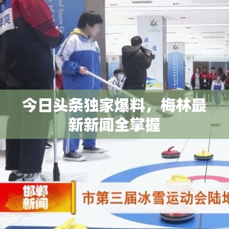 今日头条独家爆料，梅林最新新闻全掌握