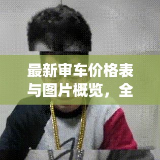 最新审车价格表与图片概览，全面解读，一目了然！