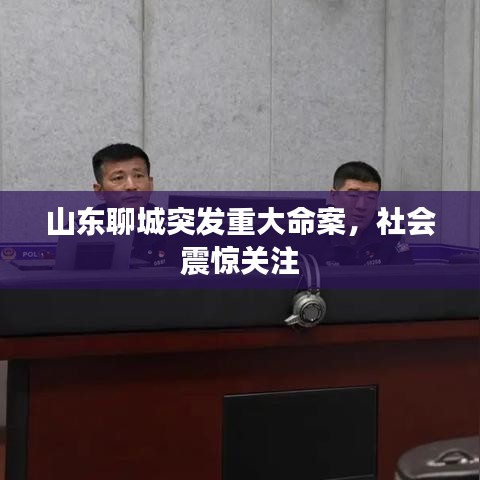 山东聊城突发重大命案，社会震惊关注