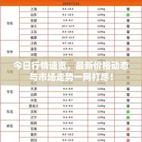 今日行情速览，最新价格动态与市场走势一网打尽！