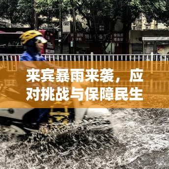 来宾暴雨来袭，应对挑战与保障民生齐头并进