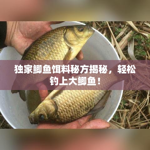 独家鲫鱼饵料秘方揭秘，轻松钓上大鲫鱼！