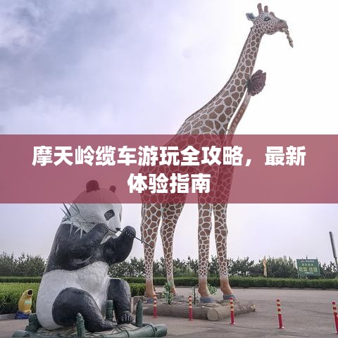 摩天岭缆车游玩全攻略，最新体验指南