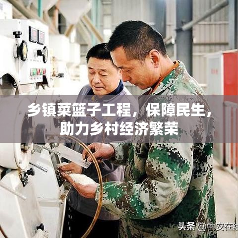 乡镇菜篮子工程，保障民生，助力乡村经济繁荣