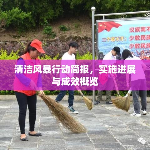 清洁风暴行动简报，实施进展与成效概览