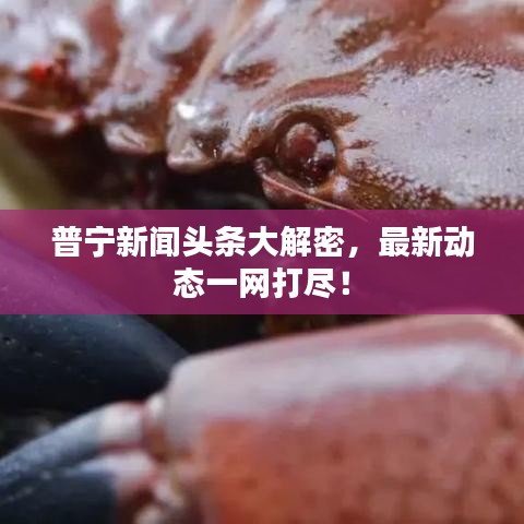 普宁新闻头条大解密，最新动态一网打尽！