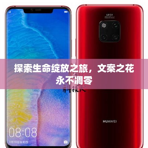 手舞足蹈 第3页