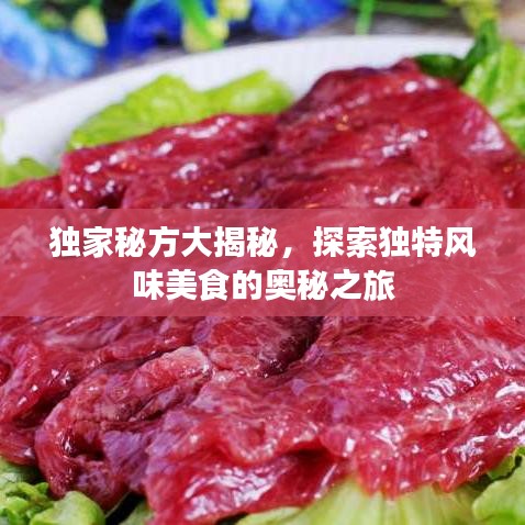 独家秘方大揭秘，探索独特风味美食的奥秘之旅