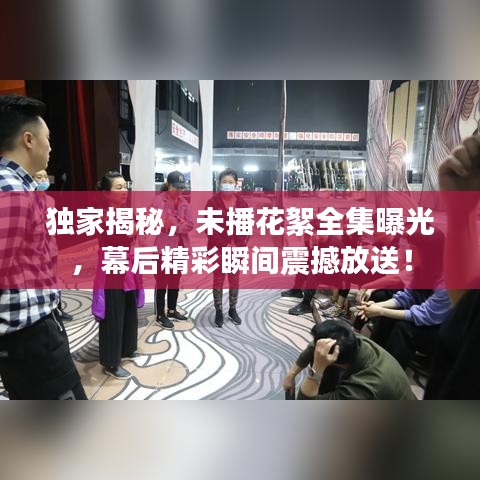 独家揭秘，未播花絮全集曝光，幕后精彩瞬间震撼放送！