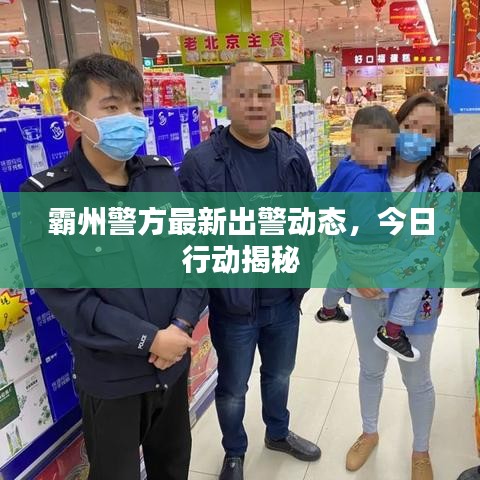 霸州警方最新出警动态，今日行动揭秘