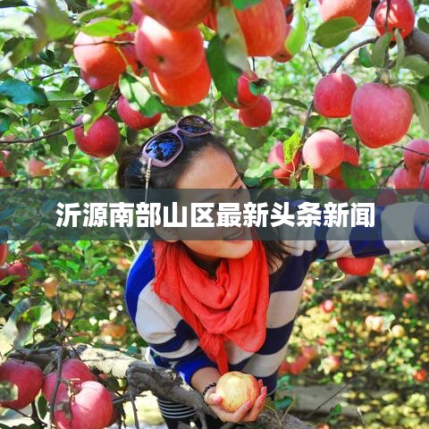 沂源南部山区最新头条新闻