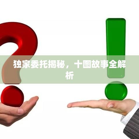 独家委托揭秘，十图故事全解析