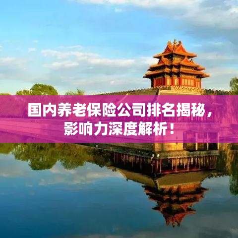 国内养老保险公司排名揭秘，影响力深度解析！