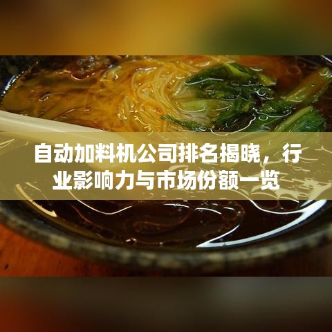 自动加料机公司排名揭晓，行业影响力与市场份额一览