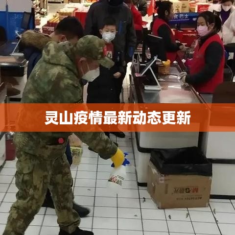 灵山疫情最新动态更新