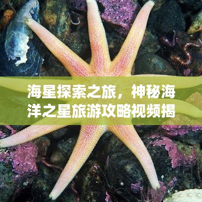 束手就擒 第3页