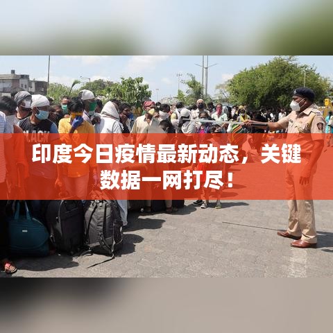 印度今日疫情最新动态，关键数据一网打尽！