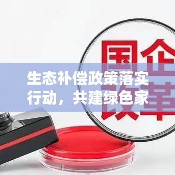 生态补偿政策落实行动，共建绿色家园新篇章