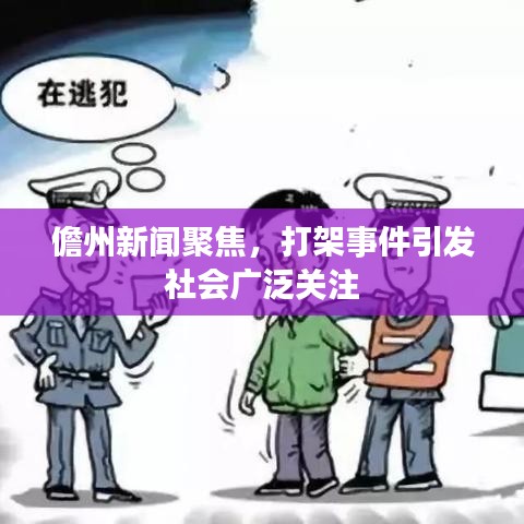 儋州新闻聚焦，打架事件引发社会广泛关注