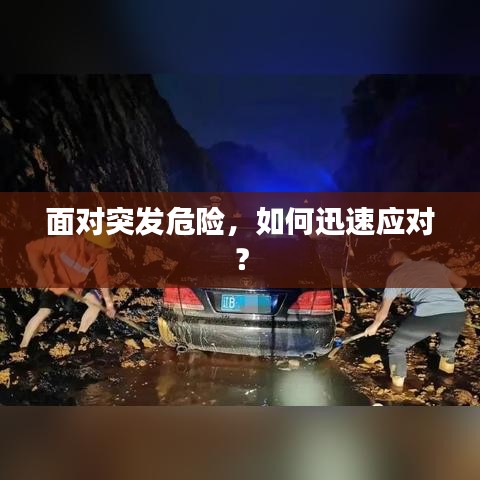 面对突发危险，如何迅速应对？
