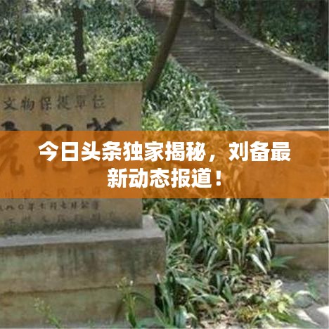 今日头条独家揭秘，刘备最新动态报道！