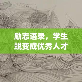 励志语录，学生蜕变成优秀人才的秘诀！
