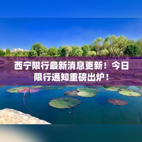 西宁限行最新消息更新！今日限行通知重磅出炉！