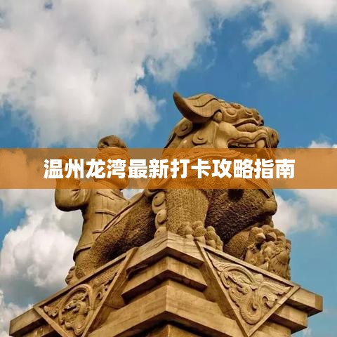 温州龙湾最新打卡攻略指南